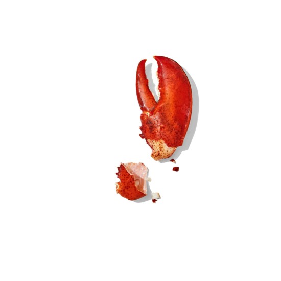 Spargator de nuci si fructe de mare, "Good Grips" - OXO