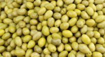 Măsline Picholine, 380 g ℮, Estoublon, Franța